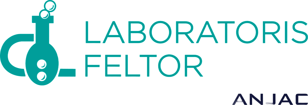 Cliente Laboratoris Feltor confía en Two Rockets Laboratoris Feltor logo